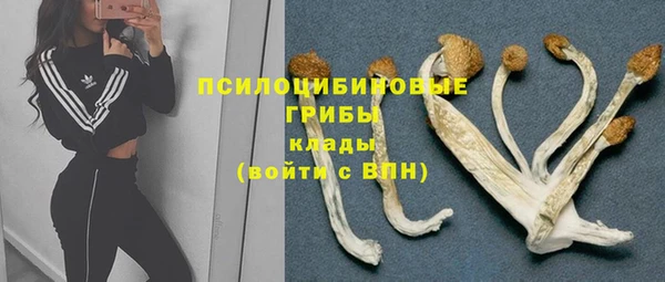 2c-b Арсеньев