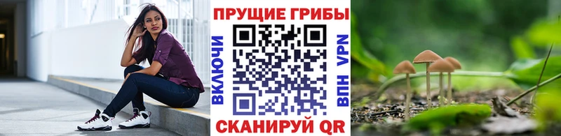 Псилоцибиновые грибы Psilocybe  Первомайск 
